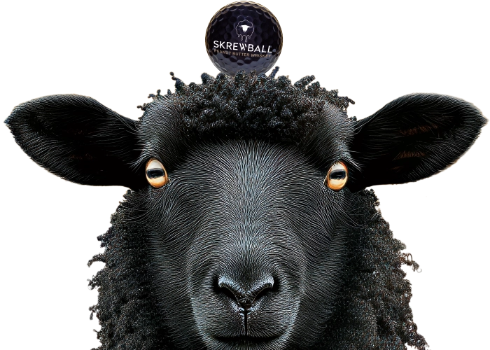 black sheep